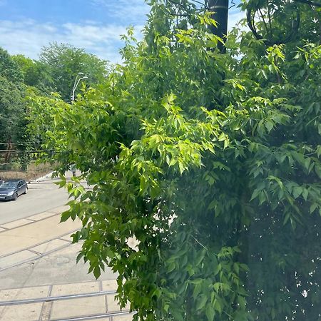 House Of Tourists Garden And More ブカレスト エクステリア 写真